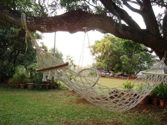 V Resorts Mahua Bagh Murud Nāndgaon Exteriér fotografie